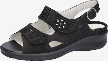 WALDLÄUFER Sandale in Schwarz: Vorderseite