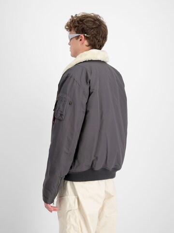 ALPHA INDUSTRIES Winterjacke 'DA-3'‌‌‌‌‌ in Grau