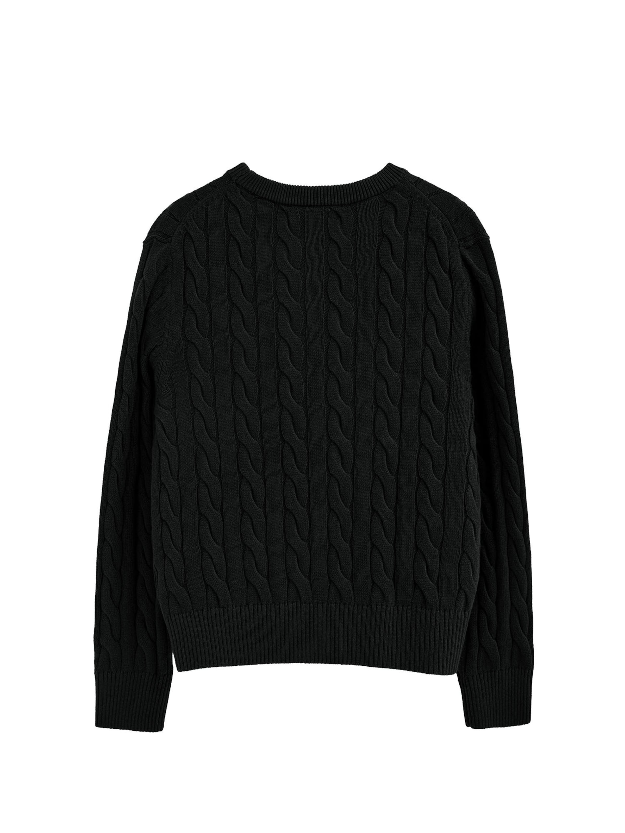 Polo Club Sweater ' RIGBY' in Black