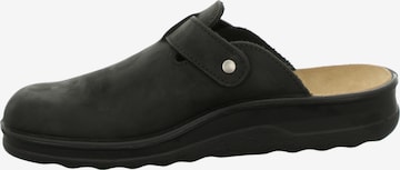 Westland Clogs in Black