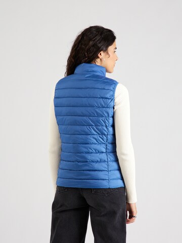 s.Oliver Bodywarmer in Blauw