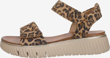 Sandales 'Sandalen Plat' Tamaris en beige : devant