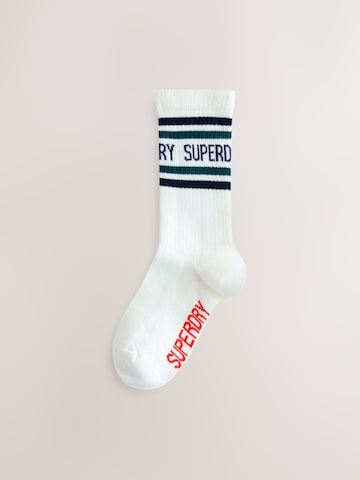 Calzino di Superdry in blu