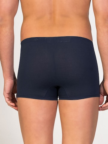 zd ZERO DEFECTS Boxer shorts 'Ikaria Trunk' in Blue