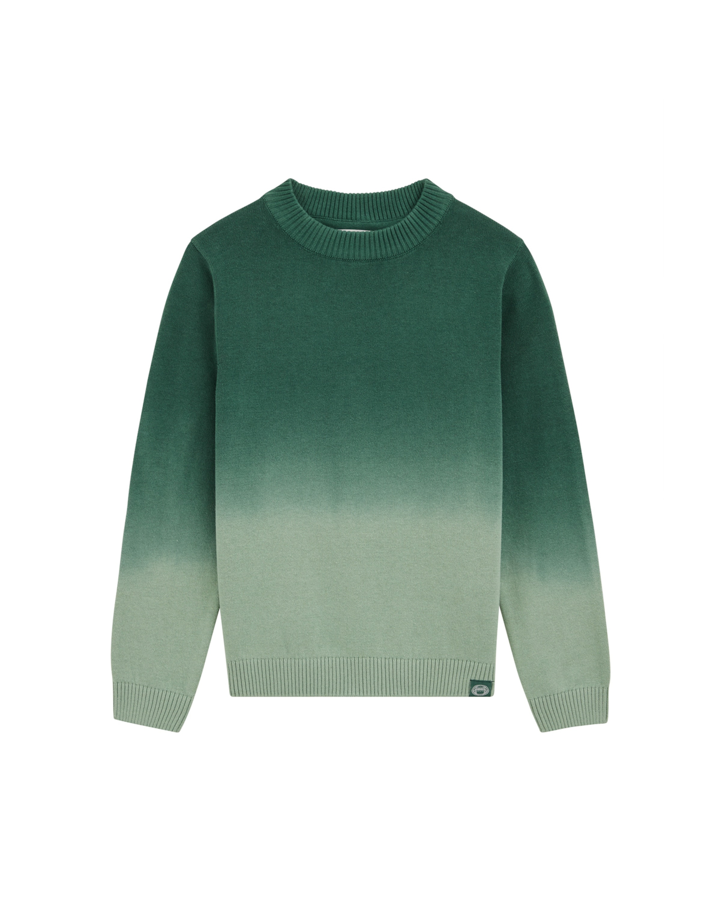 WE Fashion - Jersey en verde: frente