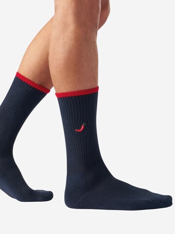 Von Jungfeld Socken 'Mix & Match Socken mit Stickmotiven' in Blau