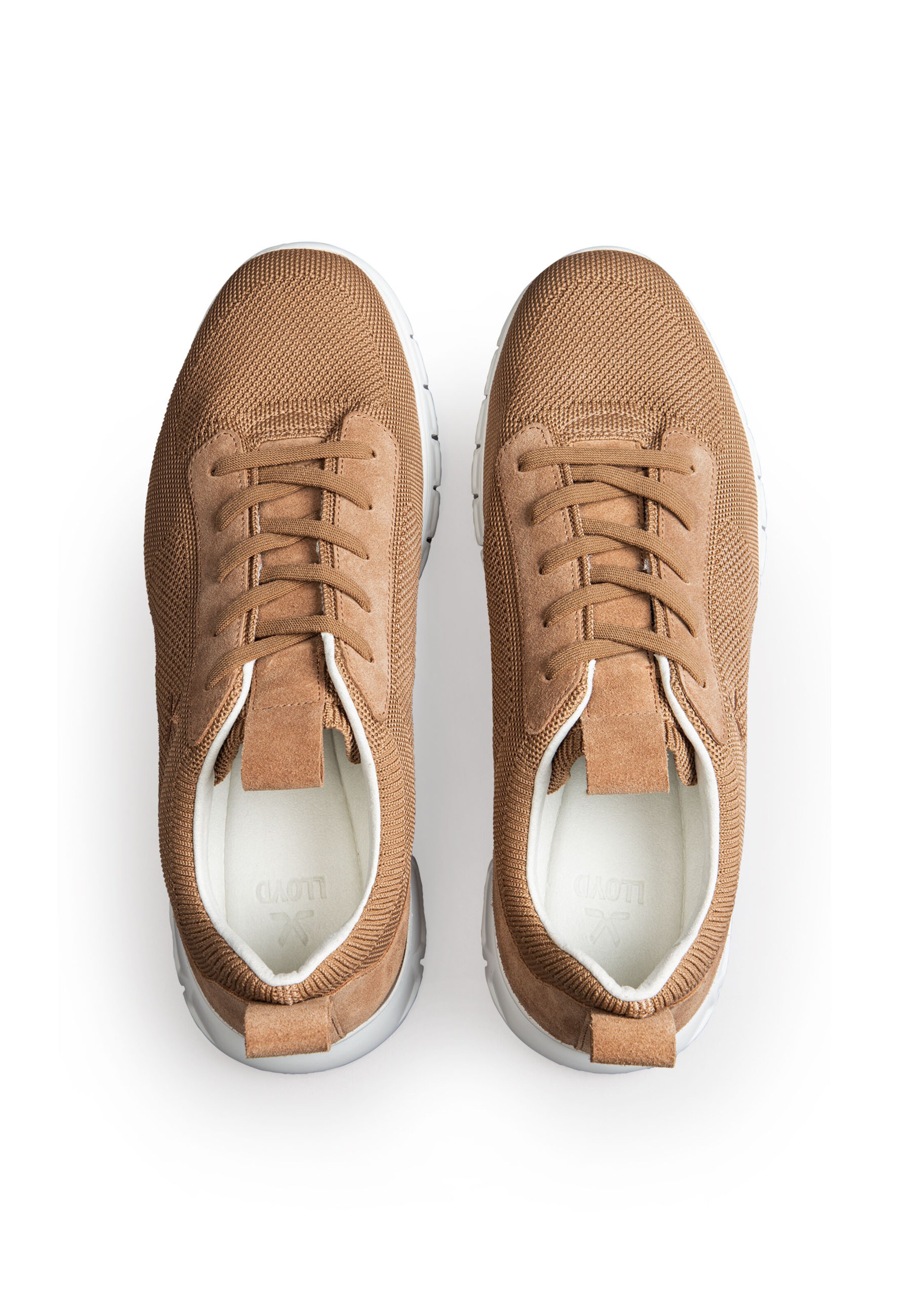 Baskets basses LLOYD en beige