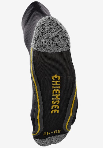 CHIEMSEE Athletic Socks in Red