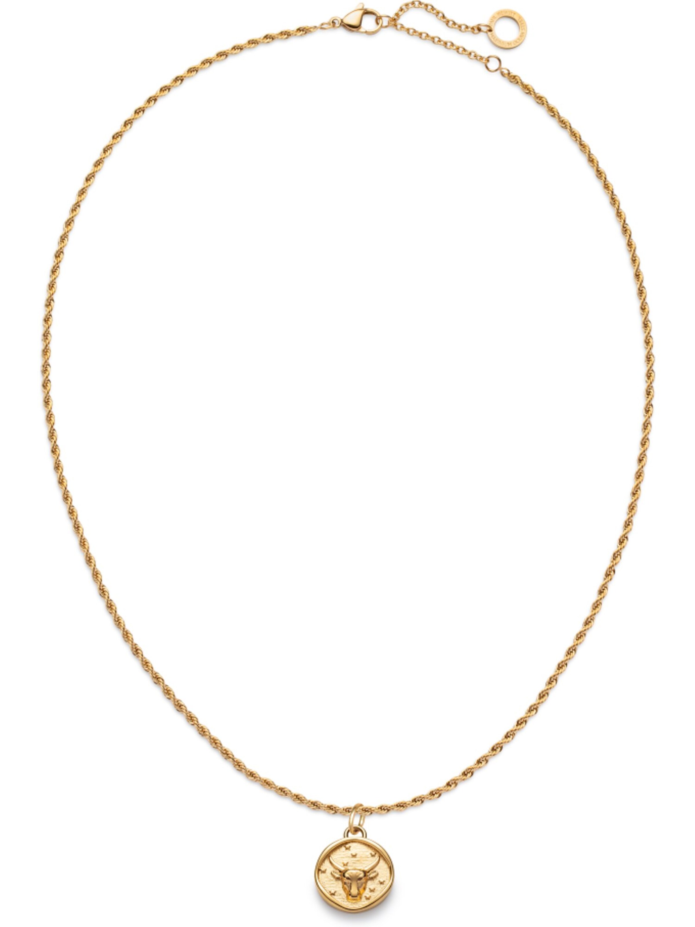 Paul Hewitt Kette in Gold: Vorderseite