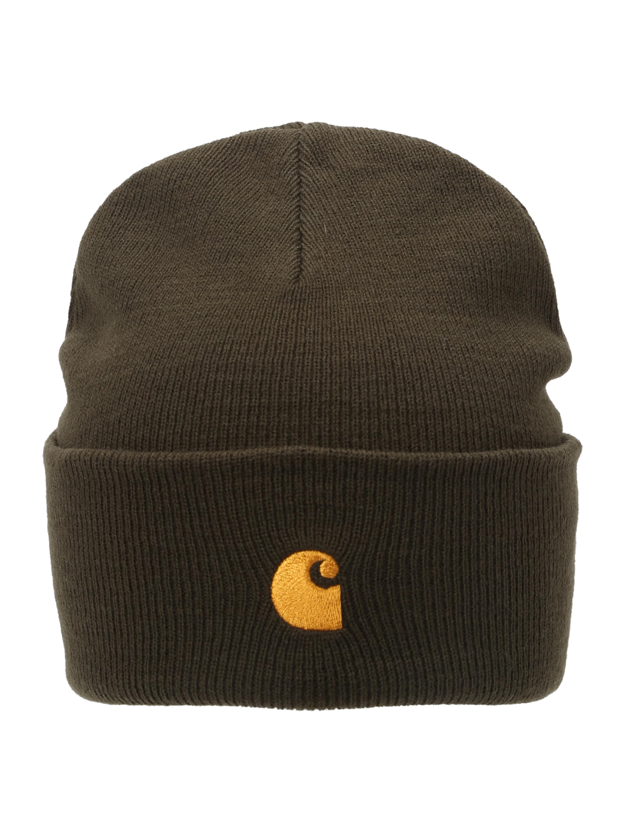 Carhartt WIP Beanie 'Chase' in Green