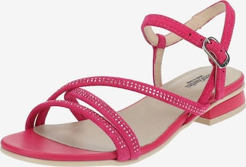 Nero Giardini Sandalen met riem in Roze: voorkant