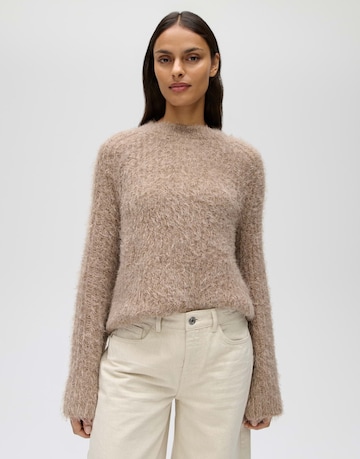 Pull-over 'Pontes' OPUS en marron : devant