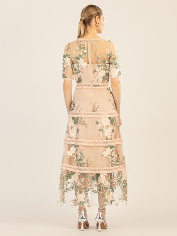 APART Evening Dress in Mixed colors