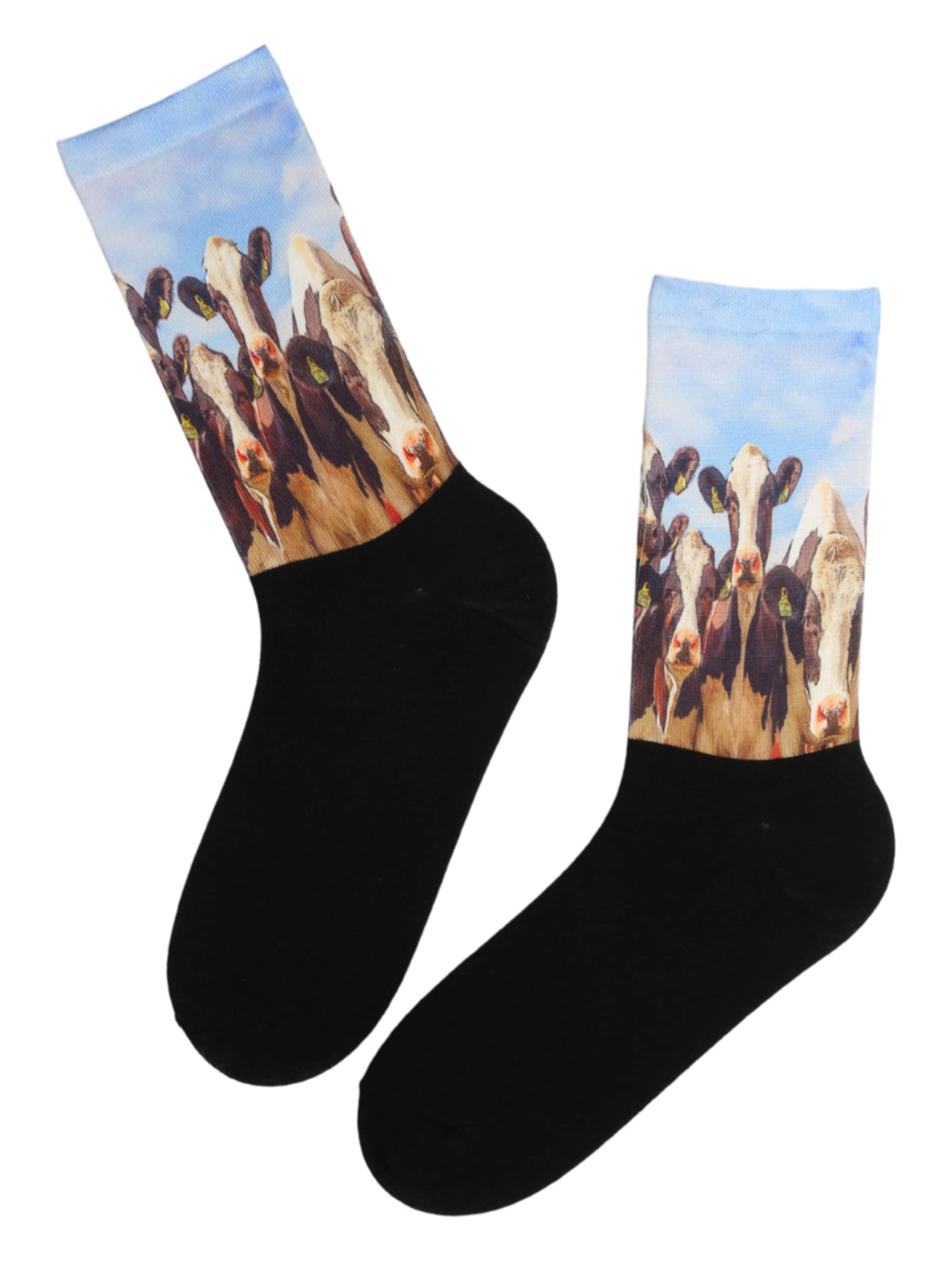Sokisahtel Socks 'Rural Life' in Mixed colours: front