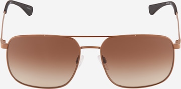 Ochelari de soare 'EA2106' de la Emporio Armani pe maro