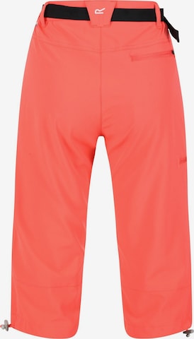 REGATTA Regular Outdoor Pants 'Xert' in Orange