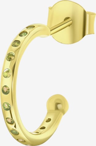Lucardi Earrings in Gold: front