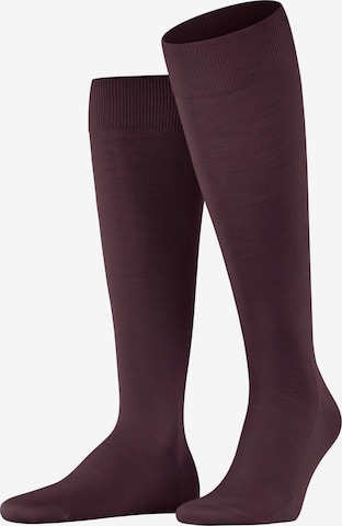 FALKE Knee High Socks 'ClimaWool' in Red: front