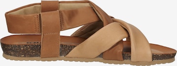 Sandales IGI&CO en marron