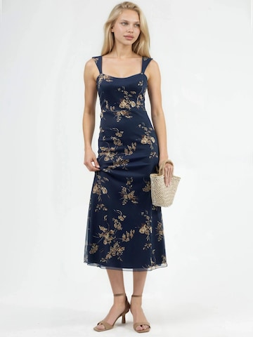 Hiccup Kleid in Blau: Vorderseite