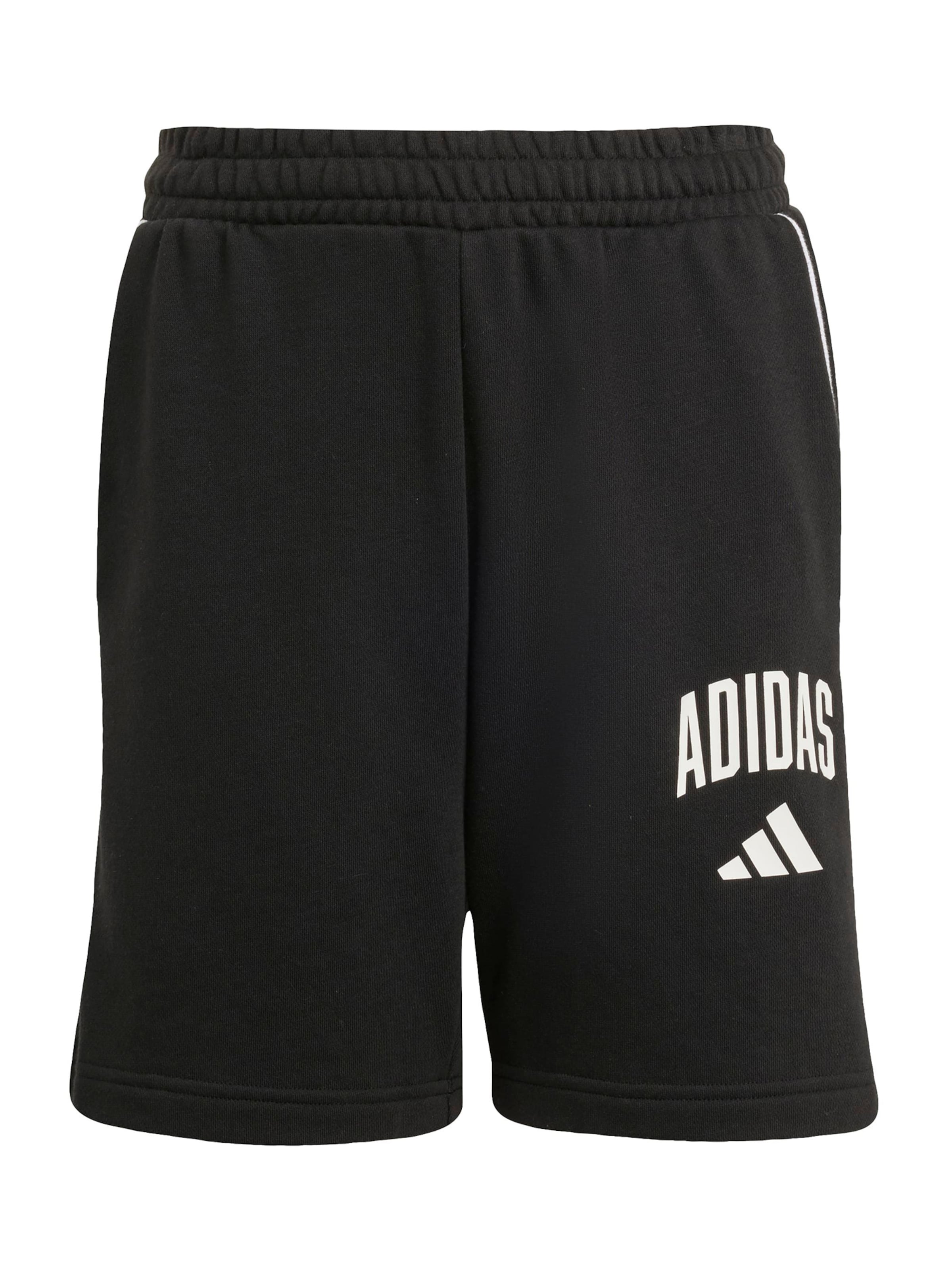 regular Pantaloni sportivi 'CLGT' di ADIDAS SPORTSWEAR in nero: frontale
