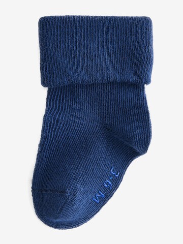 Next Socks in Blue