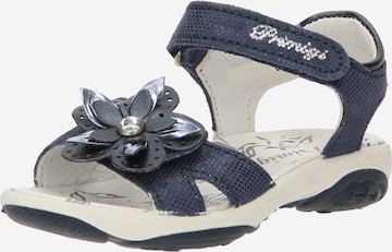 PRIMIGI Sandals in Blue: front