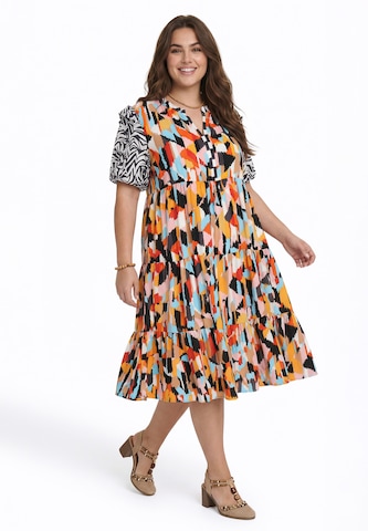 joella Dress in Mixed colours: front