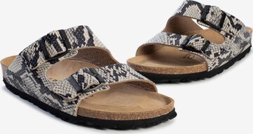 Bayton Mules 'Atlas' in Mixed colors
