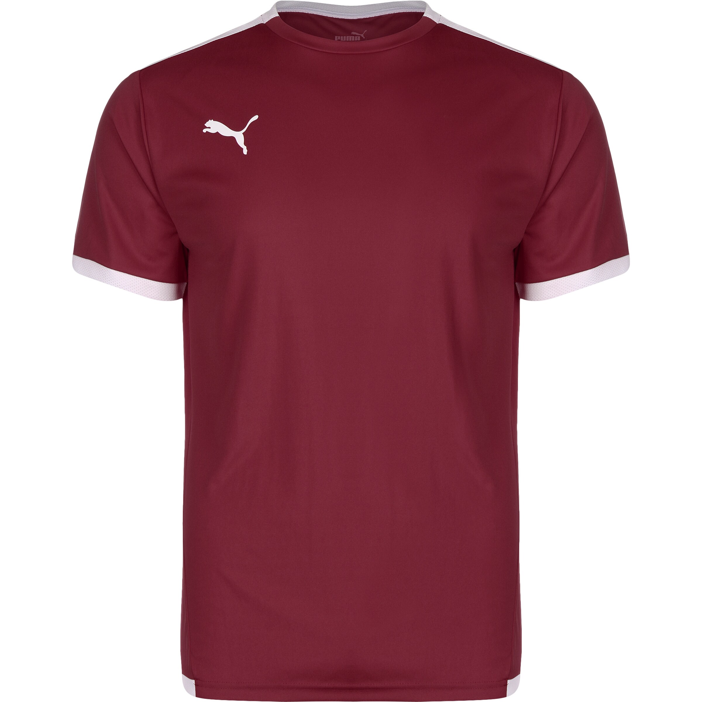PUMA Performance Shirt 'TeamLiga' in Red: front