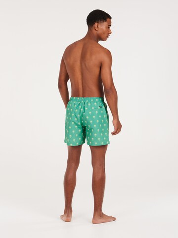 PROTEST Badeshorts 'PRTALVIS'‌‌‌‌‌‌‌‌ in Grün