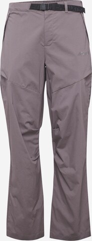 Regular Pantalon outdoor 'Xploric' ADIDAS TERREX en gris : devant