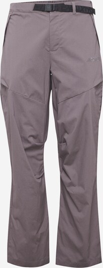 ADIDAS TERREX Pantalon outdoor 'Xploric' en taupe, Vue avec produit