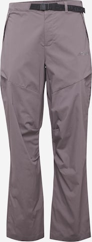 ADIDAS TERREX Regular Outdoorhose 'Xploric' in Grau: predná strana