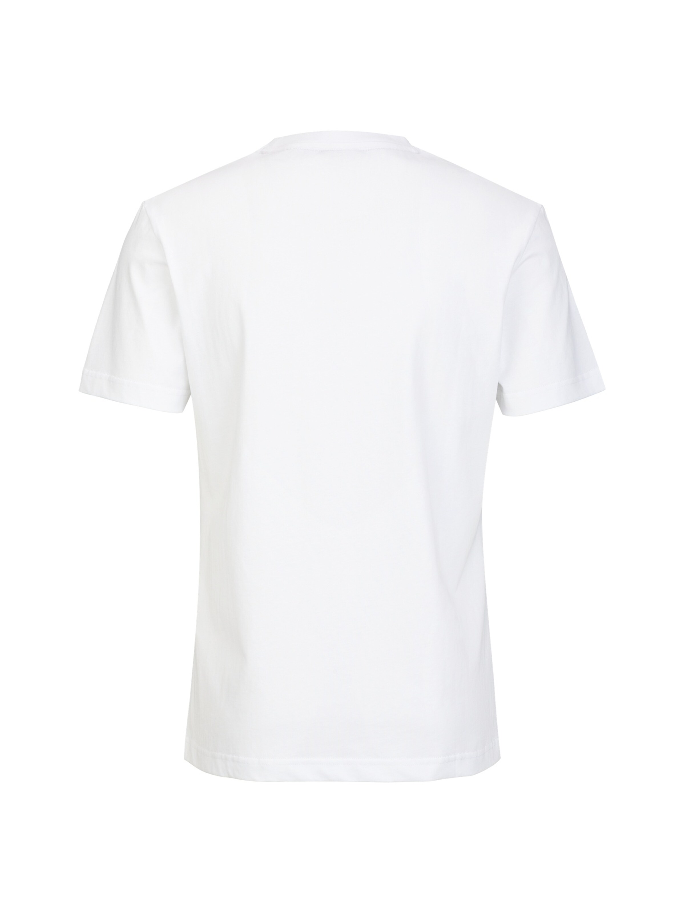 T-Shirt 'RAFAEL ITALIAN TEDDY' 19V69 ITALIA en blanc