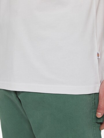 T-Shirt 'AITKIN' DICKIES en blanc