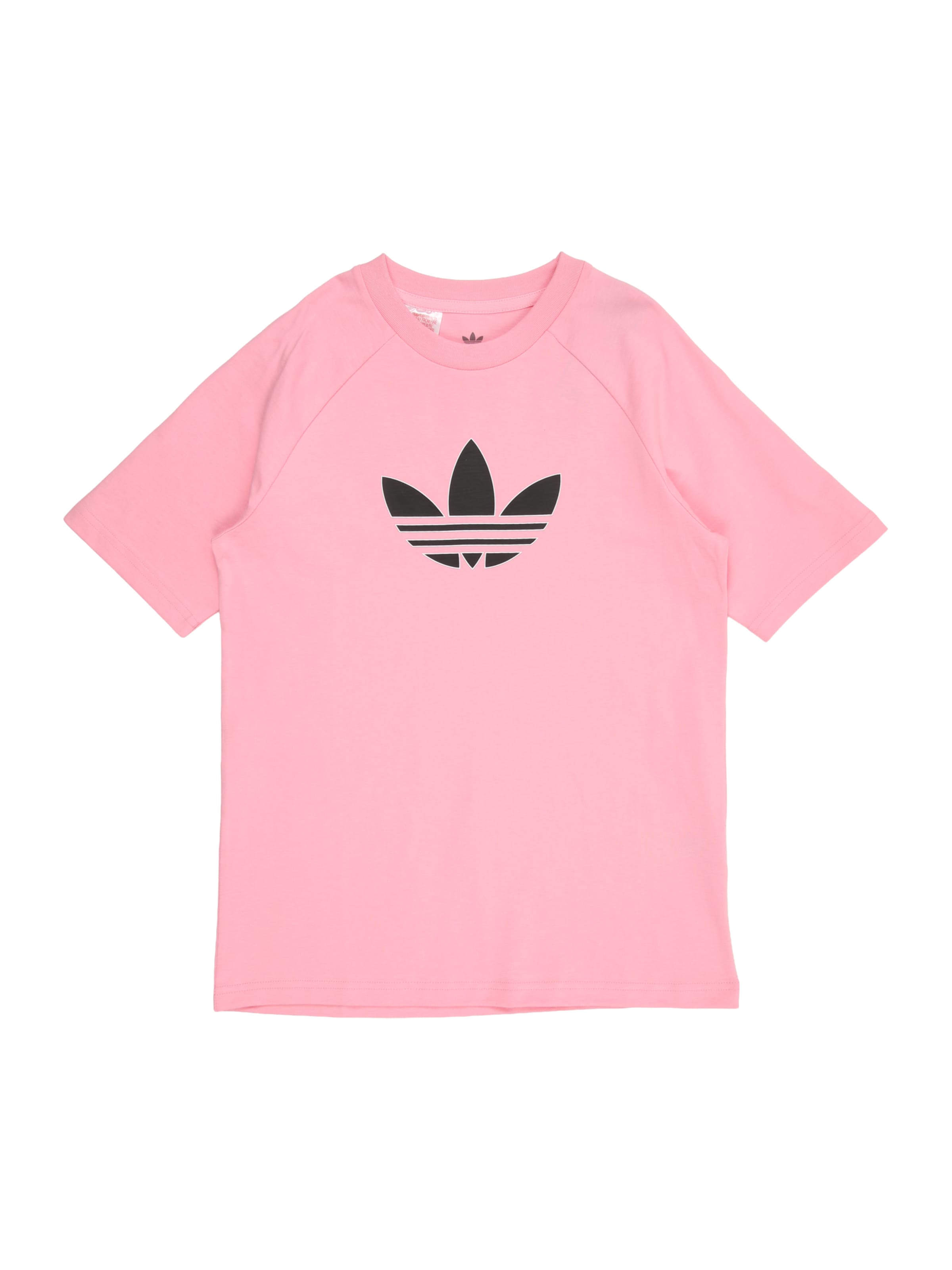 Maglietta di ADIDAS ORIGINALS in rosa: frontale