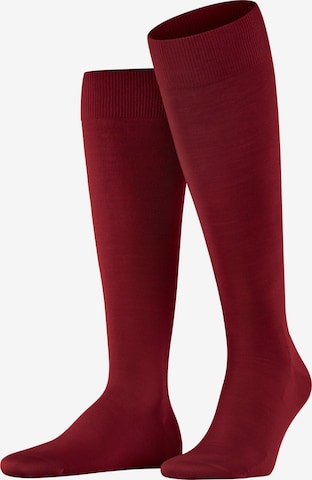 FALKE Knee High Socks 'ClimaWool' in Red: front