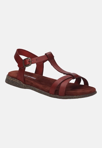 JOSEF SEIBEL Sandals in Red