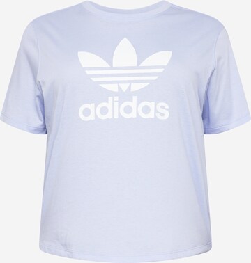 ADIDAS ORIGINALS Shirt 'Trefoil' in Purple: front