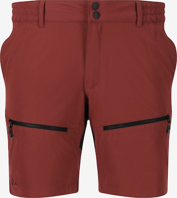 Whistler Workout Pants 'Avatar' in Brown: front