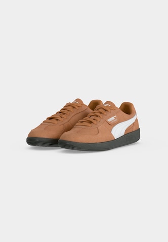 PUMA Madalad ketsid 'Palermo', värv pruun