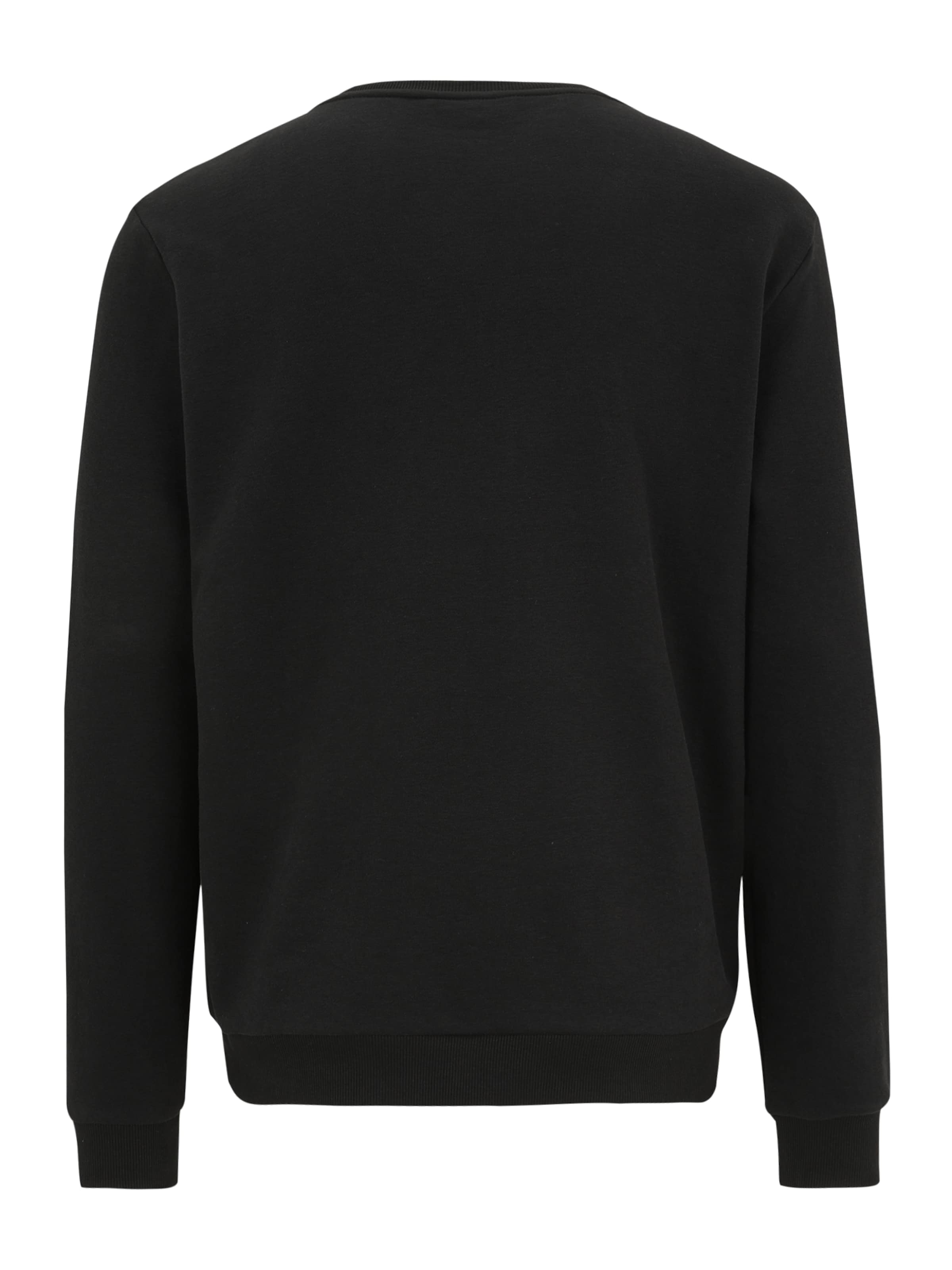 Sweat-shirt TOMMY HILFIGER en noir