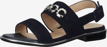 PETER KAISER Sandals in Black: front