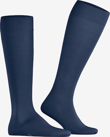 FALKE Kniestrümpfe 'ClimaWool' in Blau: Vorderseite