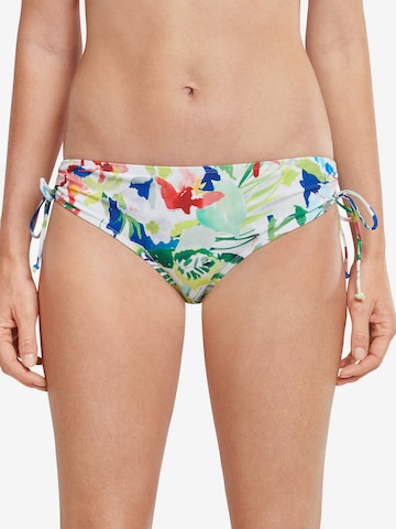 Bas de bikini 'Aqua Mix & Match Nautical' SCHIESSER en mélange de couleurs : devant