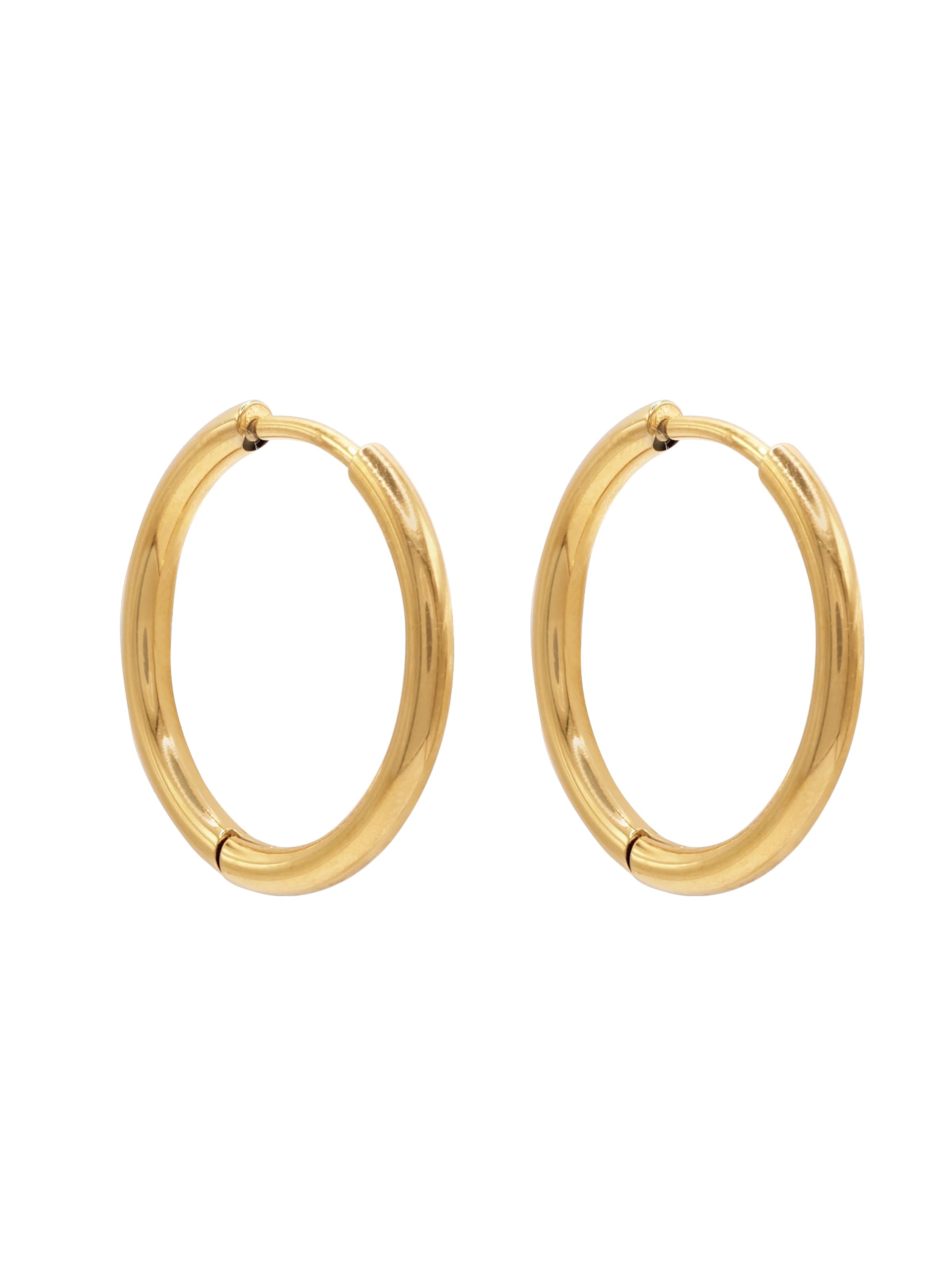 Heideman Earrings 'Amelie' in Gold