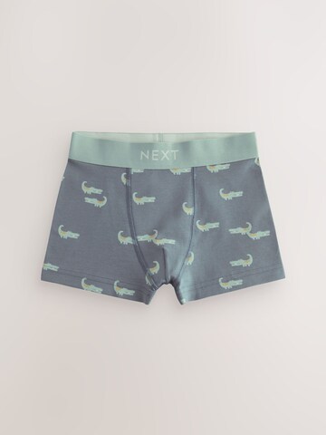 Sous-vêtements Next en bleu