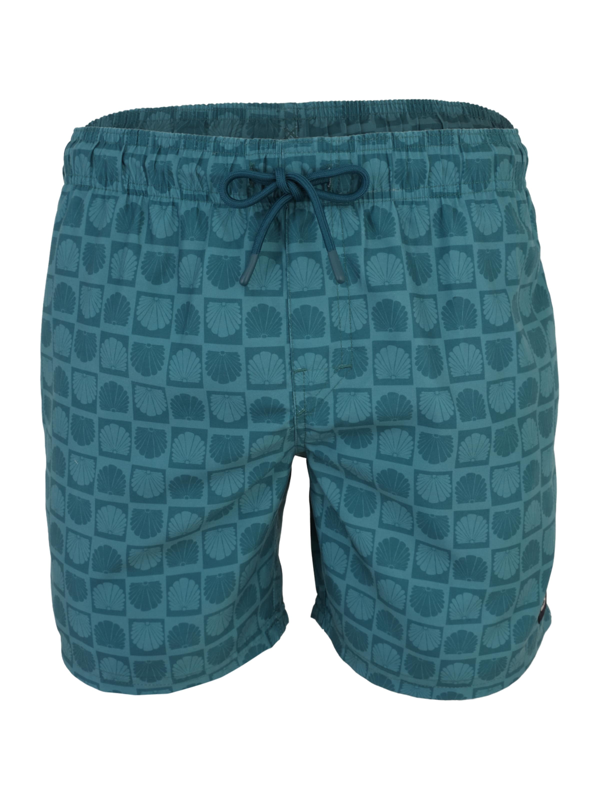 BRUNOTTI Пляжные шорты 'Cester-Mini' в Синий: спереди