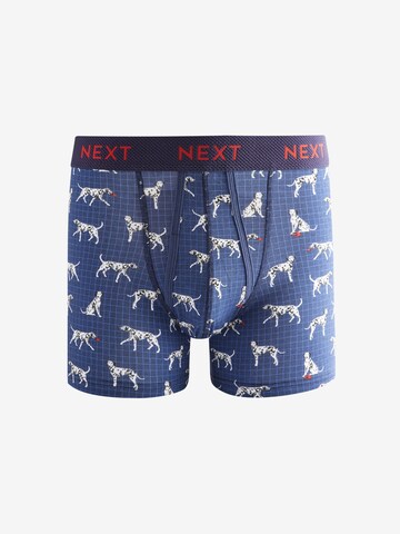 Boxers Next en mélange de couleurs